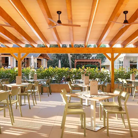 Picafort Palace 4* Can Picafort (Mallorca)